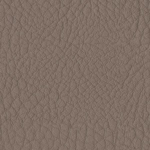 Splitomranding Taupe Lederlook